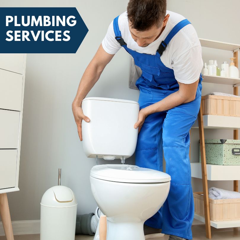 Plumbing Company in Leota, MN